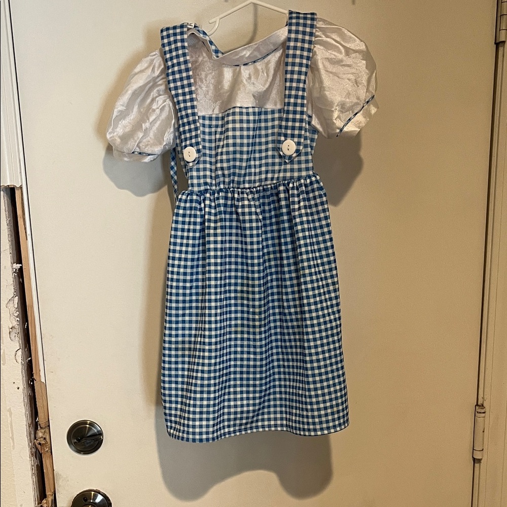 Wizard of oz Blue and White Gingham Dress with Puff Sleeves